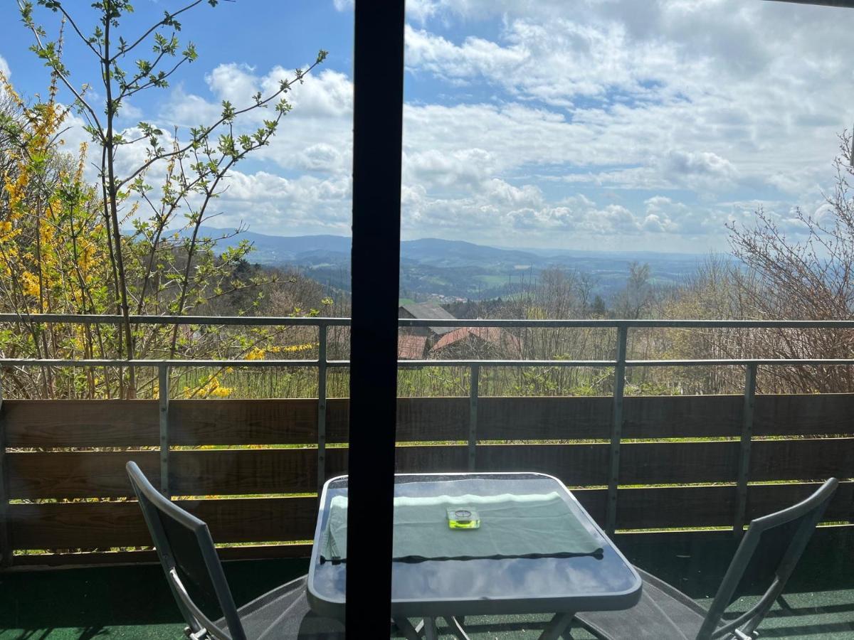 Ferienwohnungen Bayerischer Wald Mit Pool 弗赖翁 外观 照片
