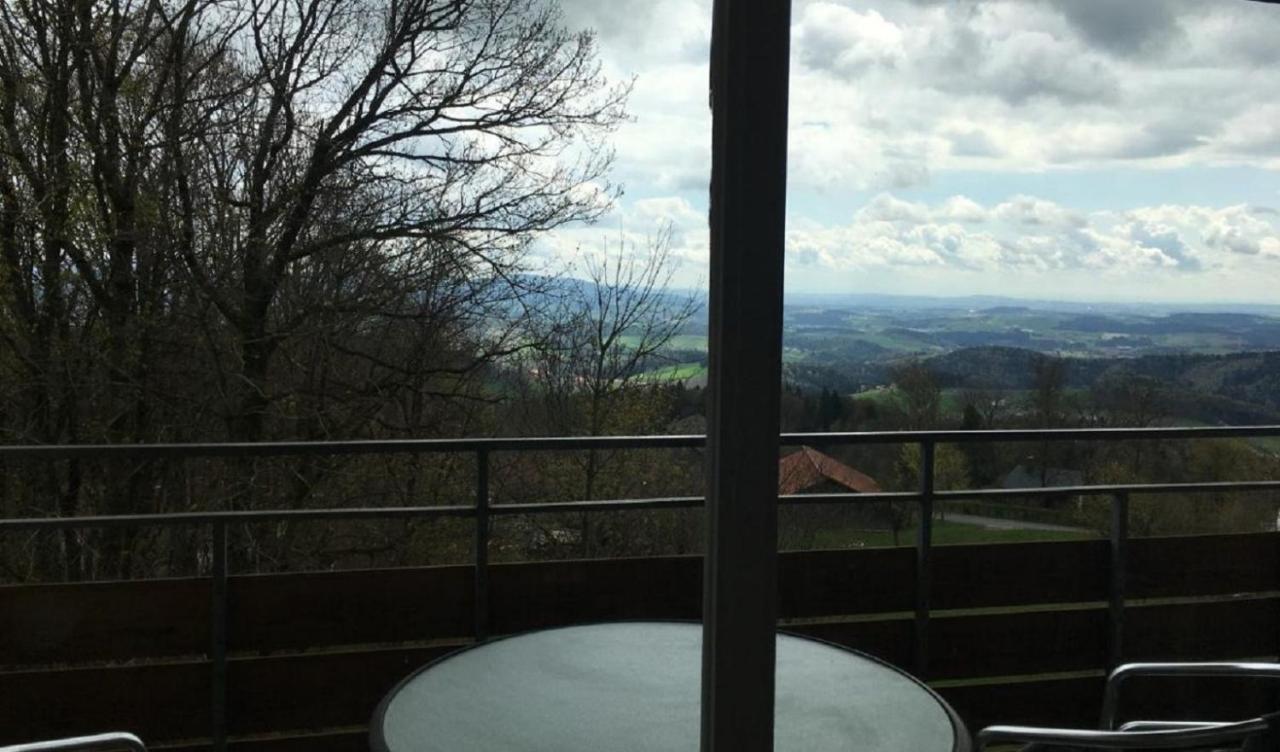 Ferienwohnungen Bayerischer Wald Mit Pool 弗赖翁 外观 照片