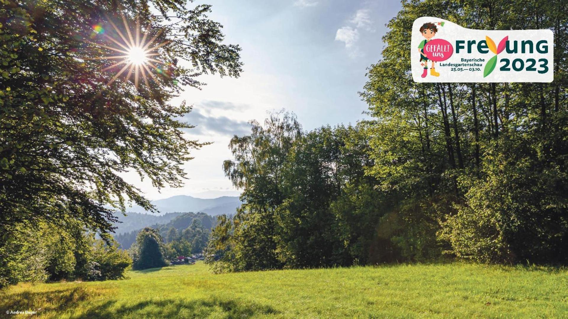 Ferienwohnungen Bayerischer Wald Mit Pool 弗赖翁 外观 照片