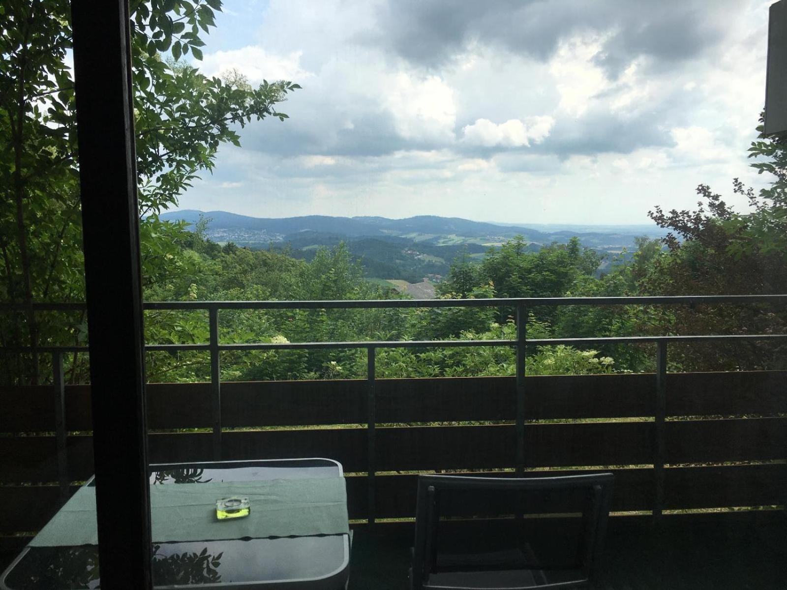 Ferienwohnungen Bayerischer Wald Mit Pool 弗赖翁 外观 照片